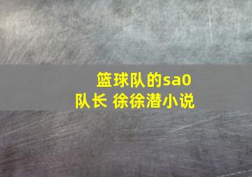 篮球队的sa0队长 徐徐潜小说